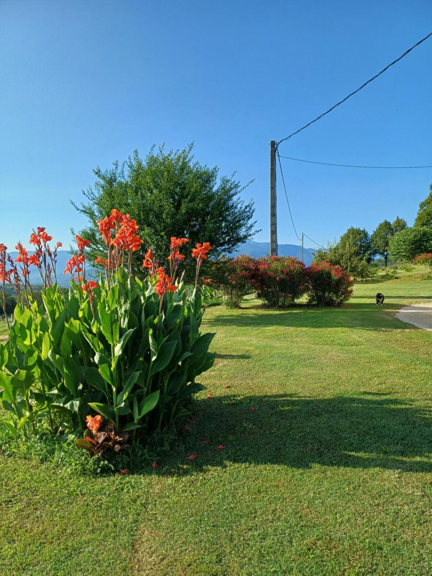 Le Pouyet Daire Saint-Lattier Dış mekan fotoğraf